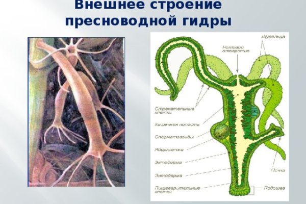 Кракен оригинальная ссылка для тор