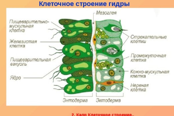 Кракен даркнет как зайти