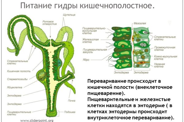 Кракен мп